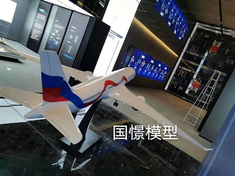 泸县飞机模型